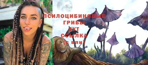 мдпв Михайловка