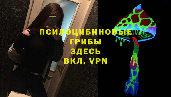 спайс Абаза