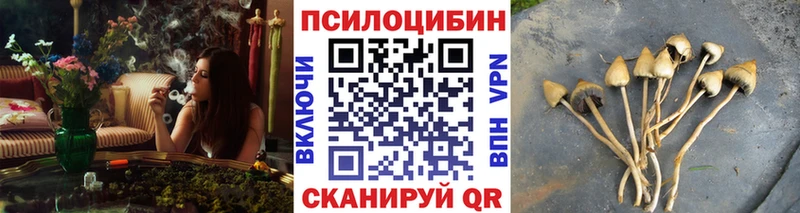 Псилоцибиновые грибы мицелий Кисловодск