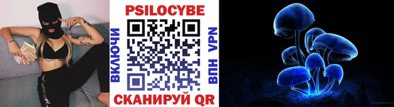 наркота Кисловодск Псилоцибиновые грибы Magic Shrooms