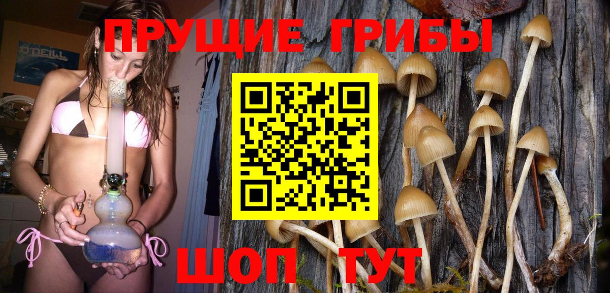 Галлюциногенные грибы ЛСД Кисловодск