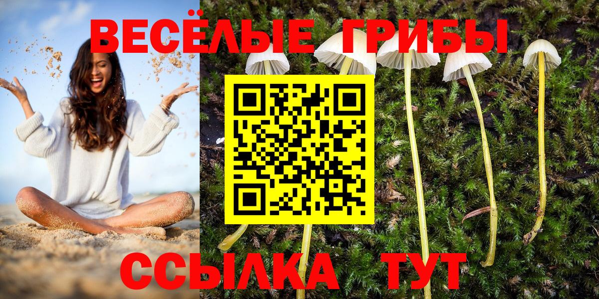 Галлюциногенные грибы Cubensis  Псилоцибиновые грибы Psilocybine cubensis  Кисловодск  Вход с VPN 