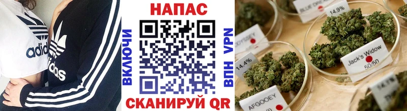 Каннабис LSD WEED гидра зеркало Кисловодск